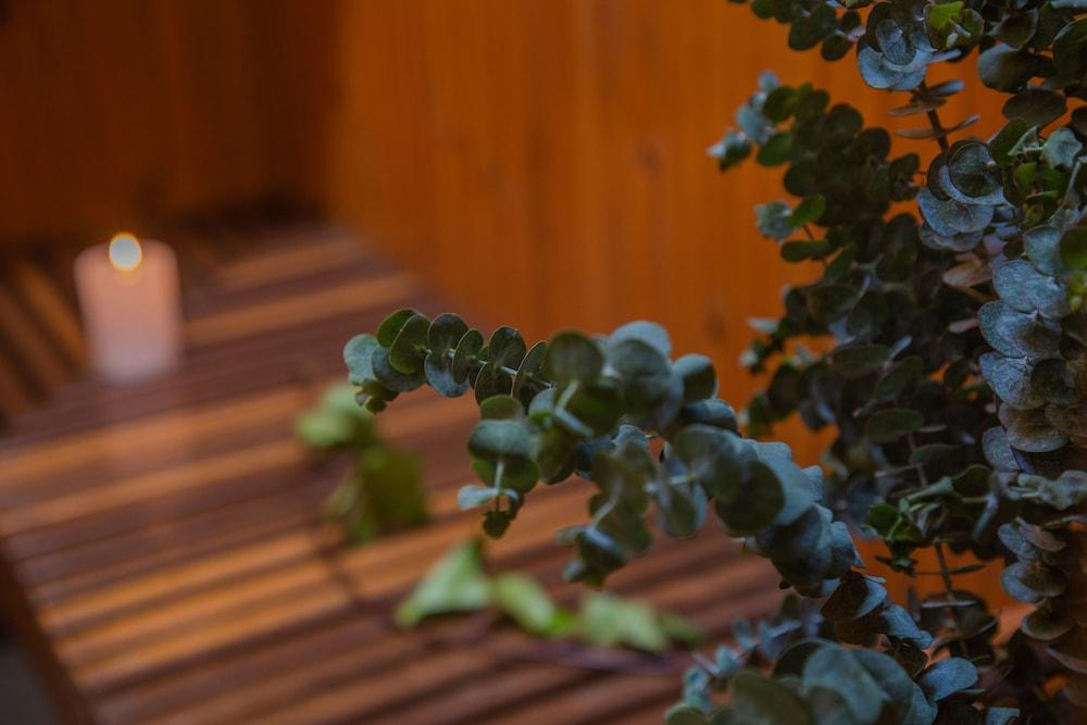Hotel Muisca Bogotá Zewnętrze zdjęcie